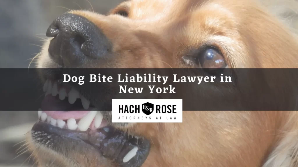 Dog Bite Liability Lawyer in New York